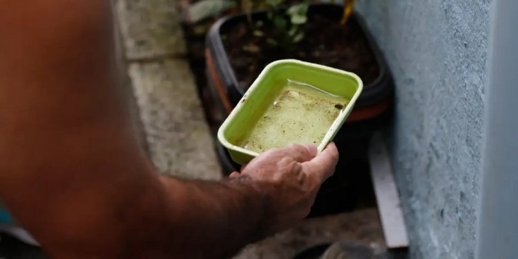 Sesab confirma quarta morte por dengue na Bahia