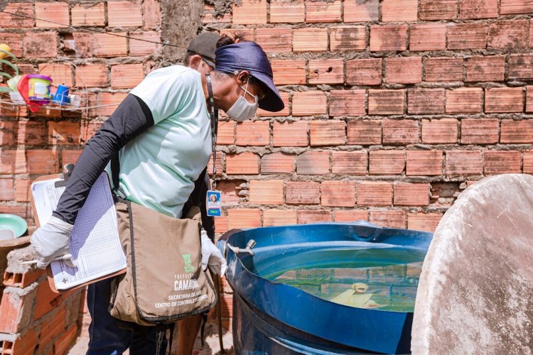 Sesau segue trabalho de combate às arboviroses e de eliminação aos focos do Aedes Aegypti