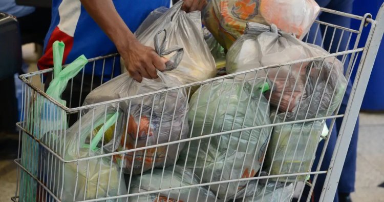 Lei que proíbe sacolas plásticas em estabelecimentos comerciais entra em vigor em Salvador neste domingo (12)