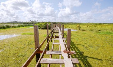 Ponte que liga Areias a Piabas continua em edificação