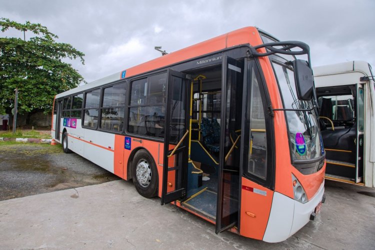 STT monta esquema especial de transporte coletivo gratuito para 2º turno das Eleições Municipais 2024