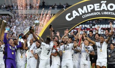 Saiba quem é o baiano artilheiro da Libertadores pelo Botafogo que jogou intermunicipal