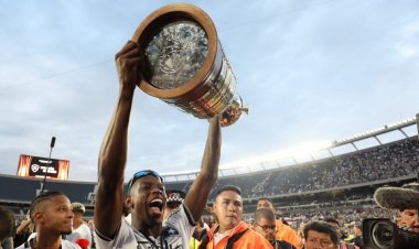 Botafogo vence o Brasileirão após 29 anos