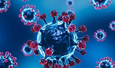 Brasil ainda registra mortes diárias por Covid cinco anos após início da pandemia