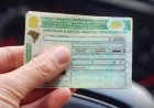 Bahia oferece 12 mil vagas para CNH Gratuita; saiba como participar